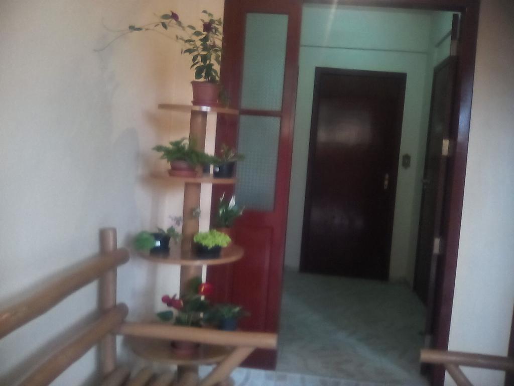 Residencial Dona Vilma Hotell Florianópolis Exteriör bild